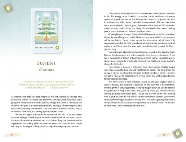 cover11.jpg_product