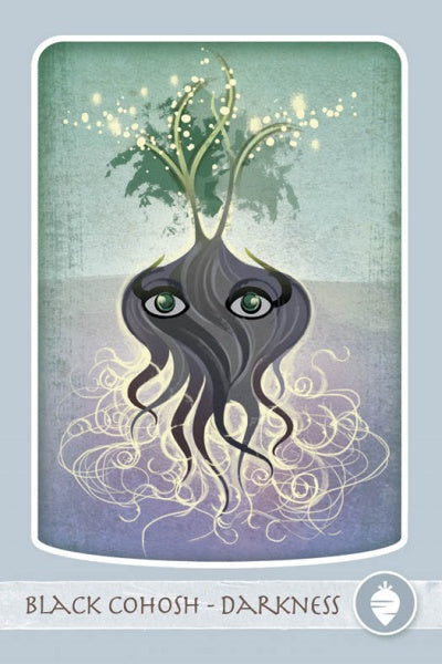cover11.jpg_product