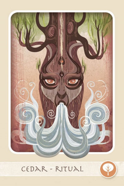 cover11.jpg_product