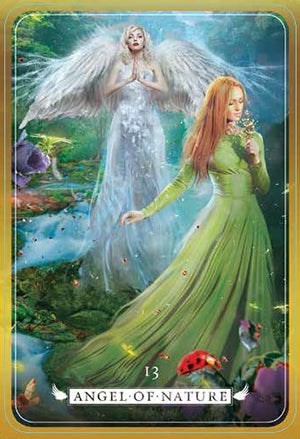 angelreadingcards_box_and_booklet_USedition2-1.jpg_product