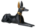 Anubis5393.jpeg