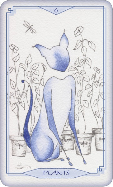 BleuCatBox.jpg_product