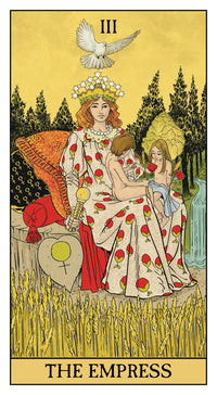 BeforeTarotDisplay.jpg_product
