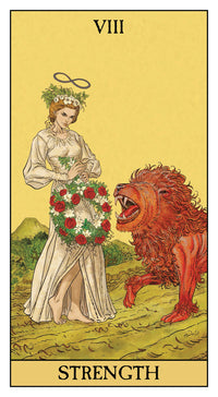 BeforeTarotDisplay.jpg_product