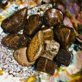 Bronzite1.jpg