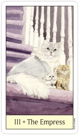 CAT78-01.jpg_product