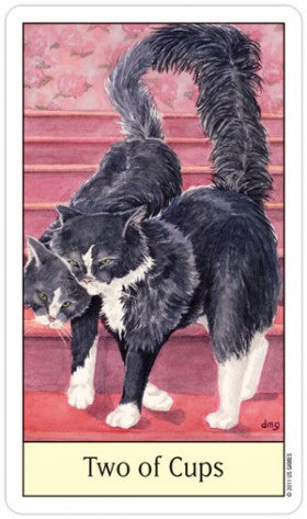 CAT78-01.jpg_product
