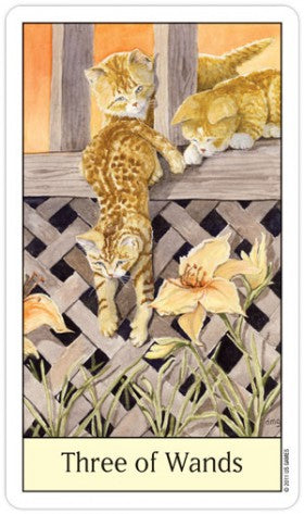 CAT78-01.jpg_product