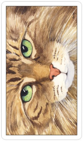 CAT78-01.jpg_product