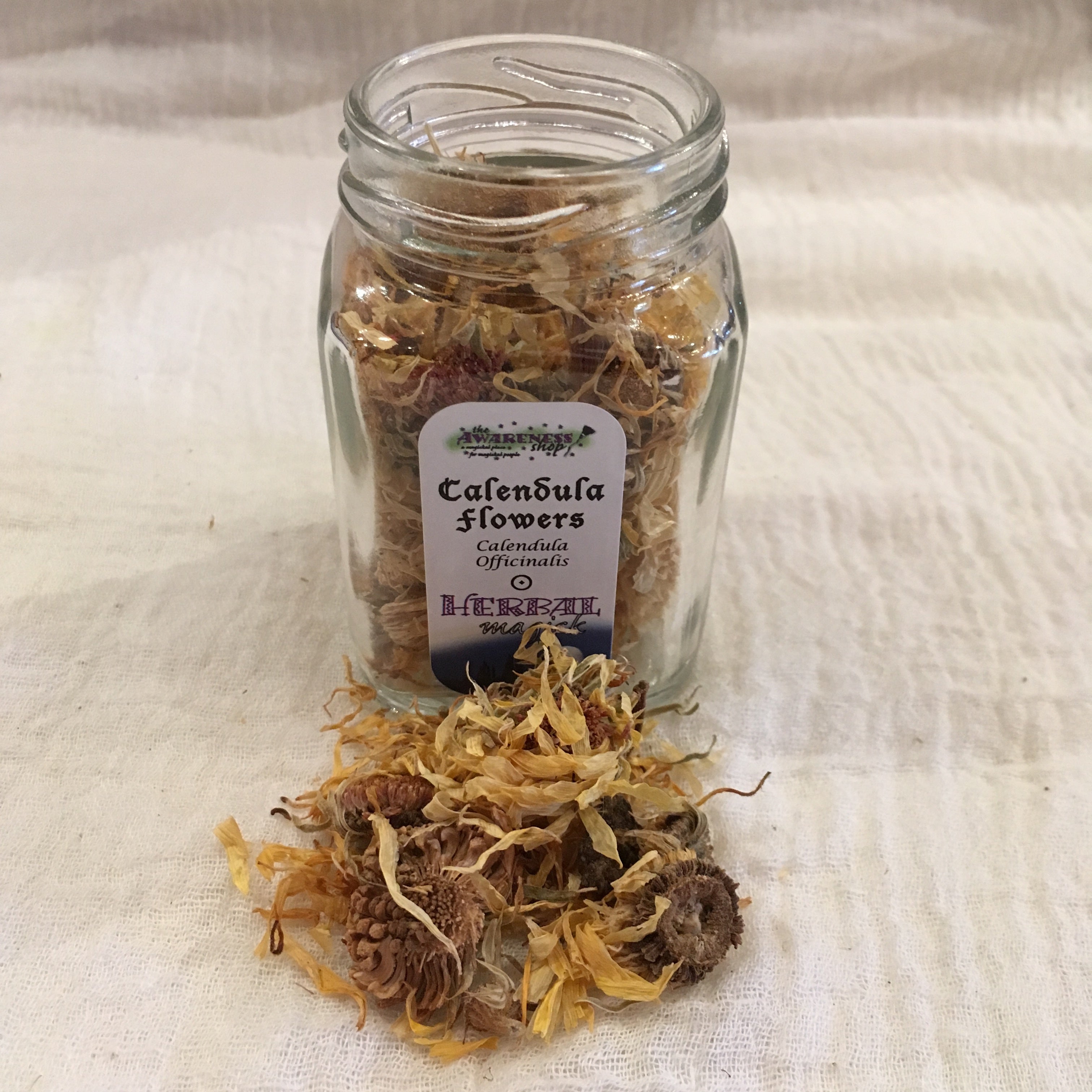 Calendula Flowers.jpg