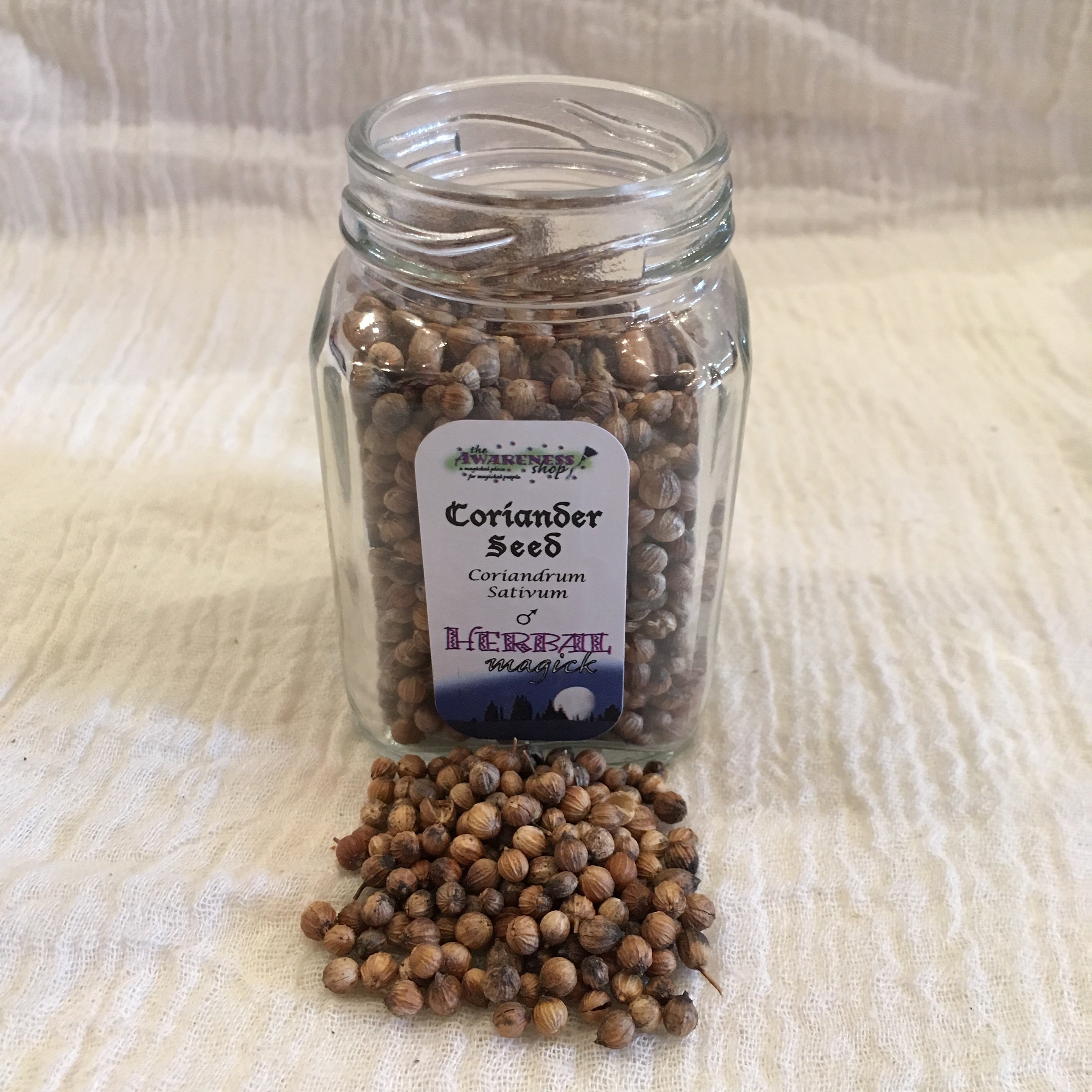 Coriander Seeds.jpg