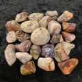 Agate__Crazy_Lac_4e24956270bf9.jpg