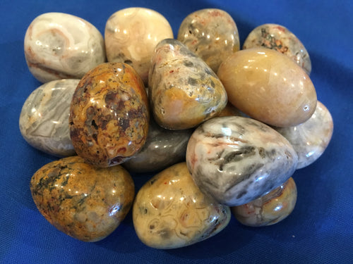 Agate__Crazy_Lac_4e24956270bf9.jpg