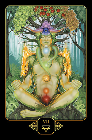 DG81_Cover.jpg_product