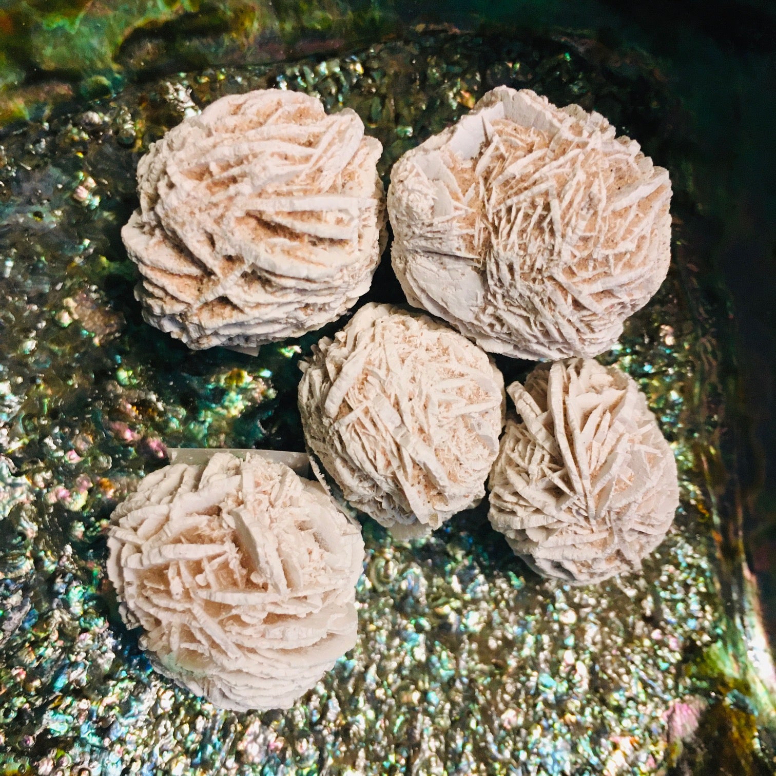DesertRoseSelenite.jpg