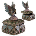 DragonflyFairyBox7764.jpeg