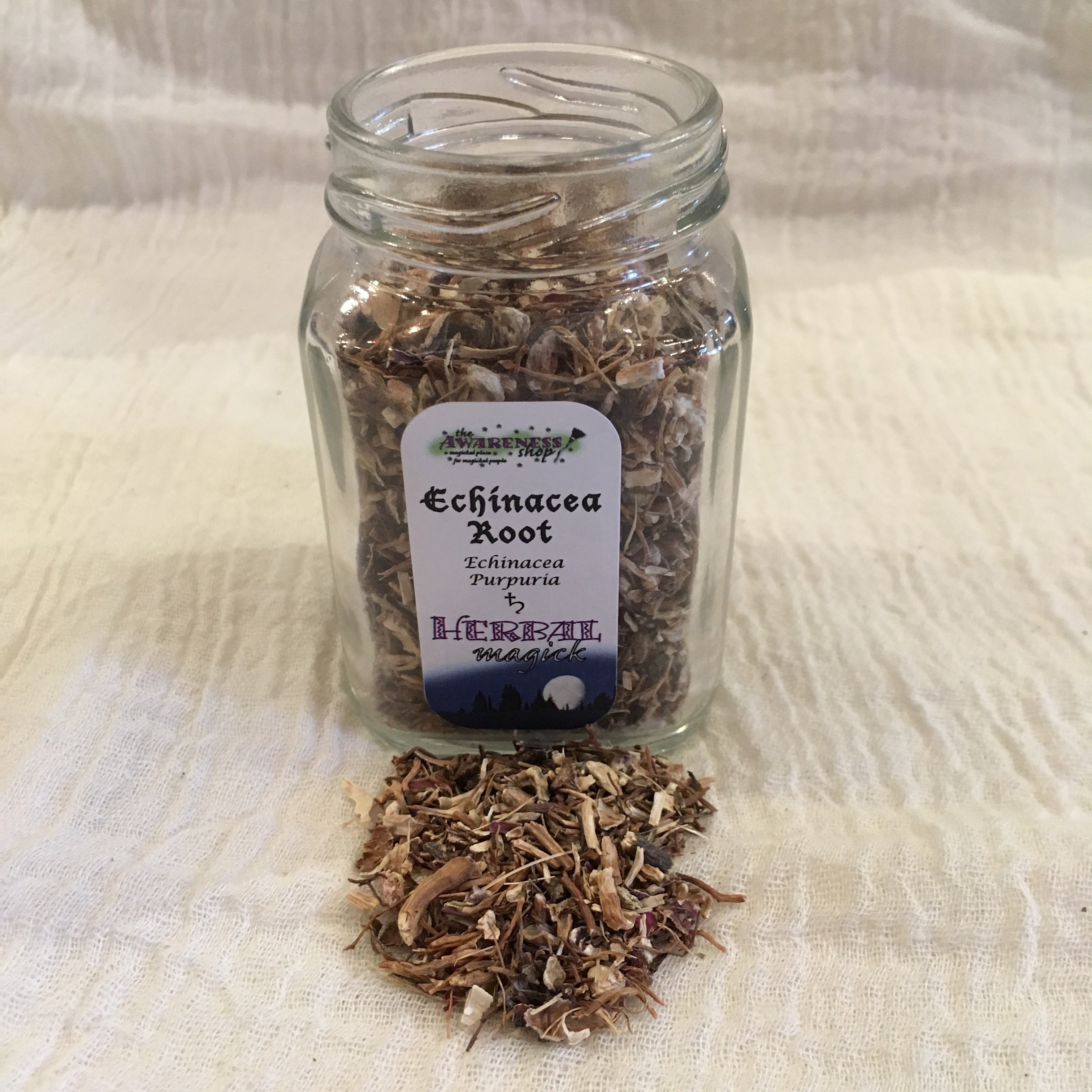 Echinacea Root.jpg