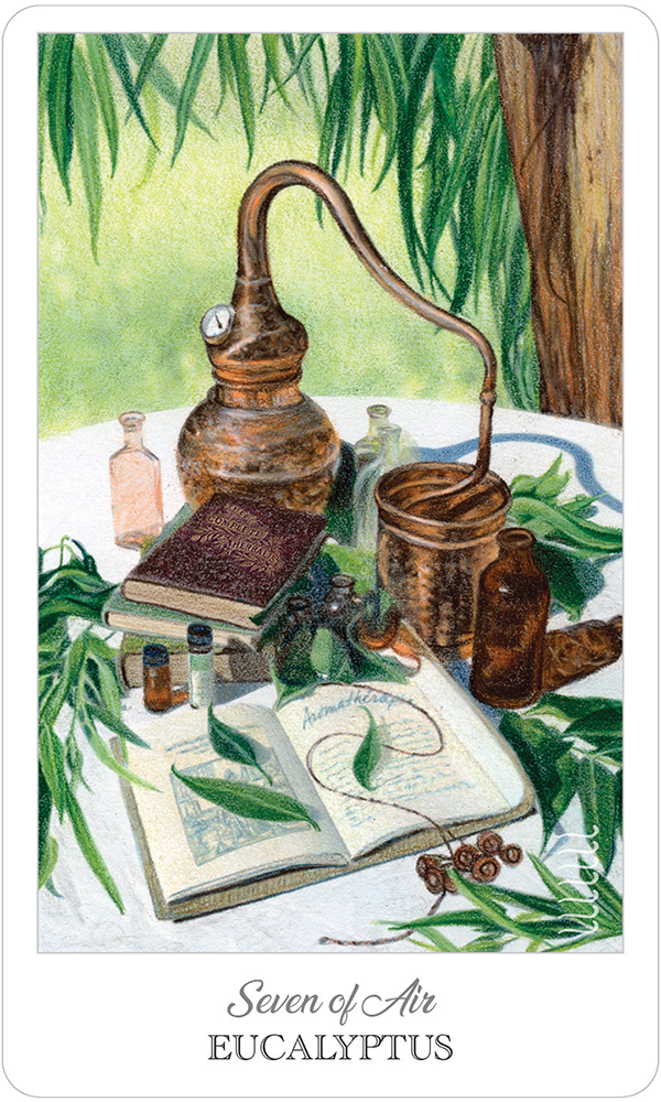 HCT78_box.png_product