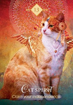 HHSpiritAnimalOracleTR.jpg_product