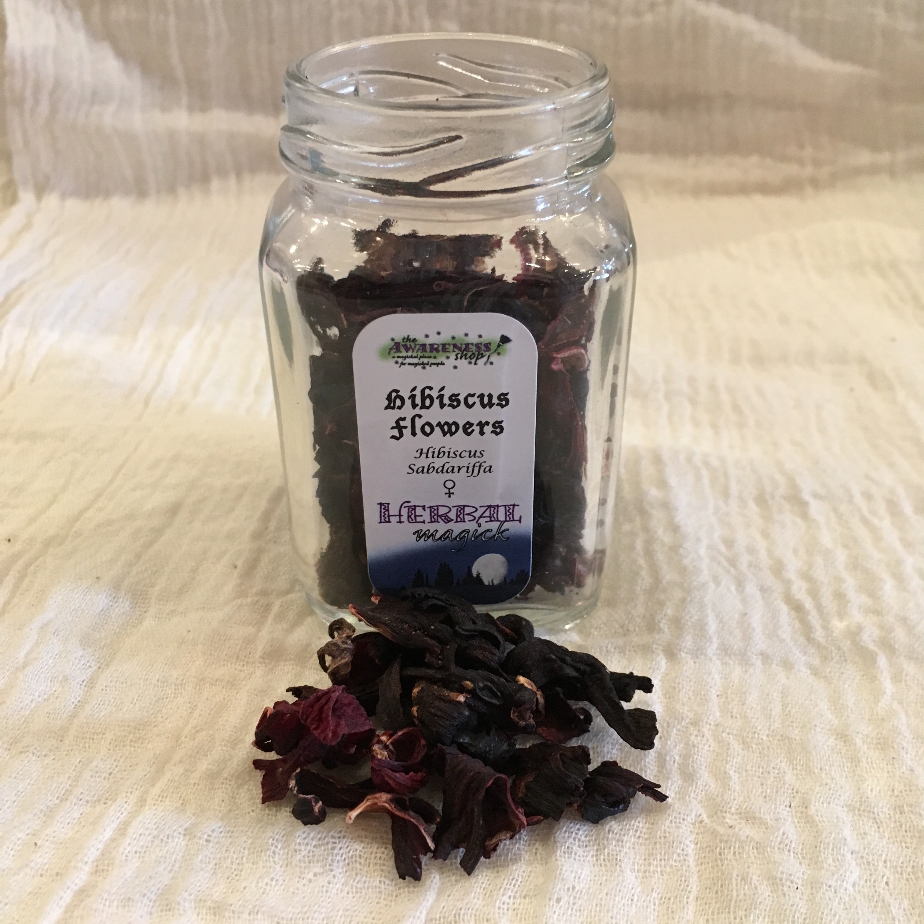 Hibiscus Flowers.jpg
