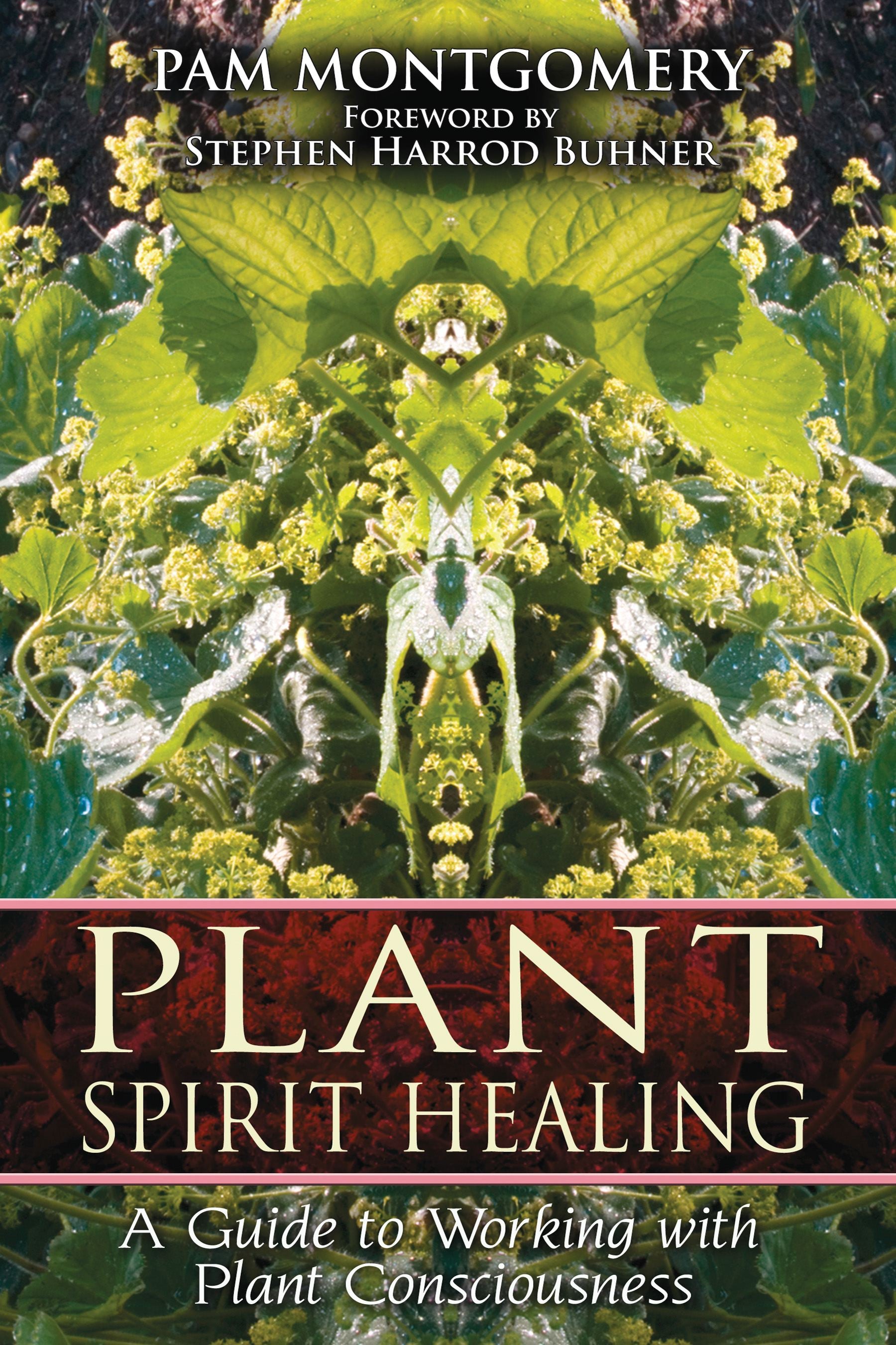 ITPlantSpiritHealingBK.jpg