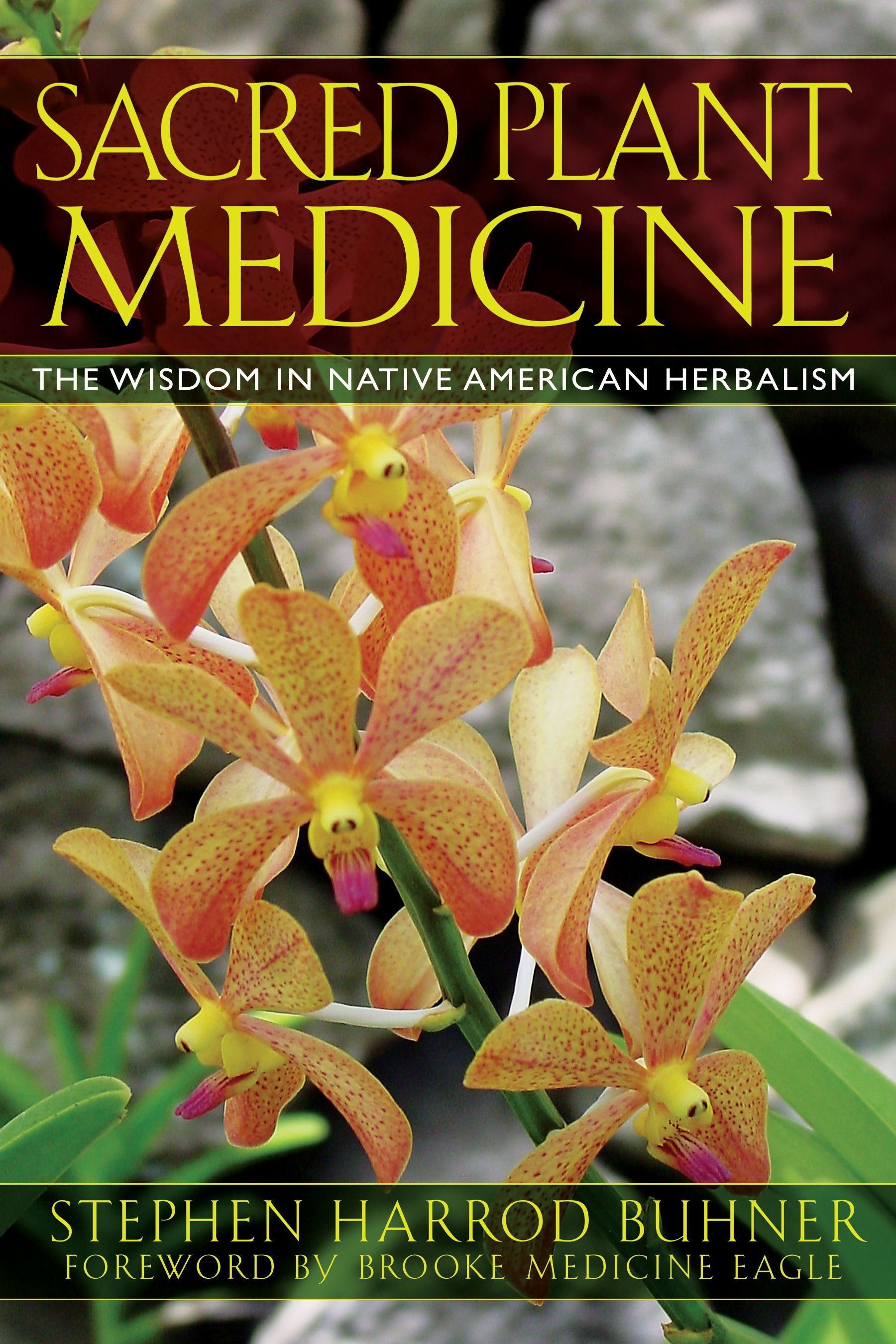 ITSacredPlantMedicineBK.jpg