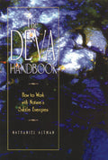 ITTheDevaHandbookBK.jpg