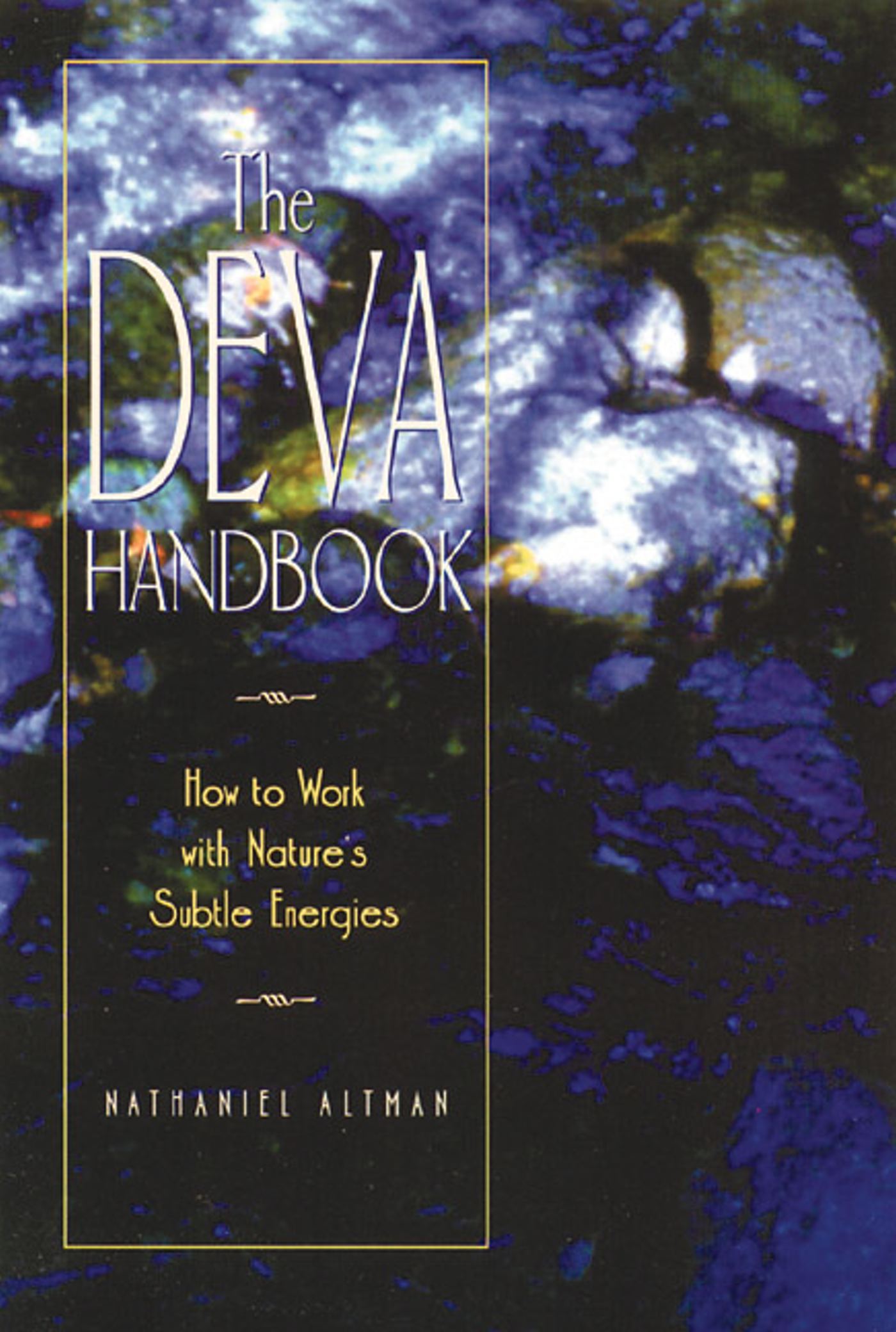 ITTheDevaHandbookBK.jpg