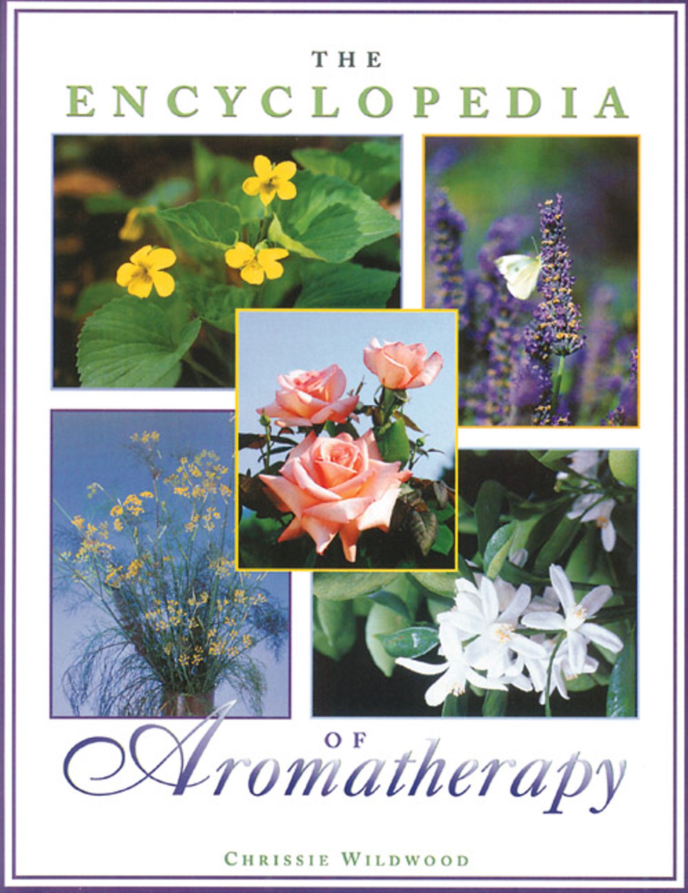 ITTheEncyclopediaofAromatherapyBK.jpg