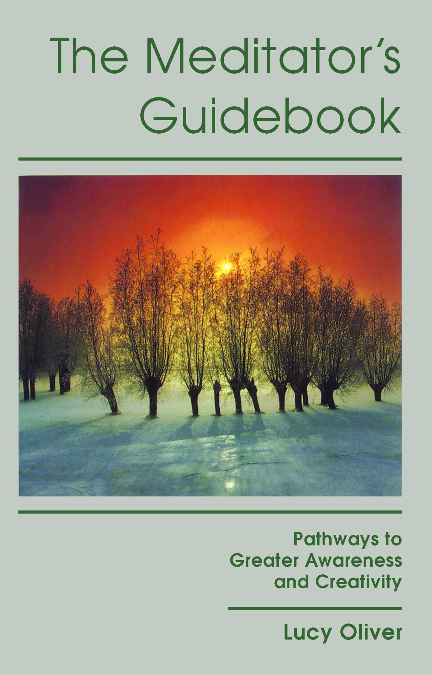 ITthe-meditators-guidebookBK.jpg