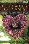 ITthe-secret-teachings-of-plantsBK.jpg