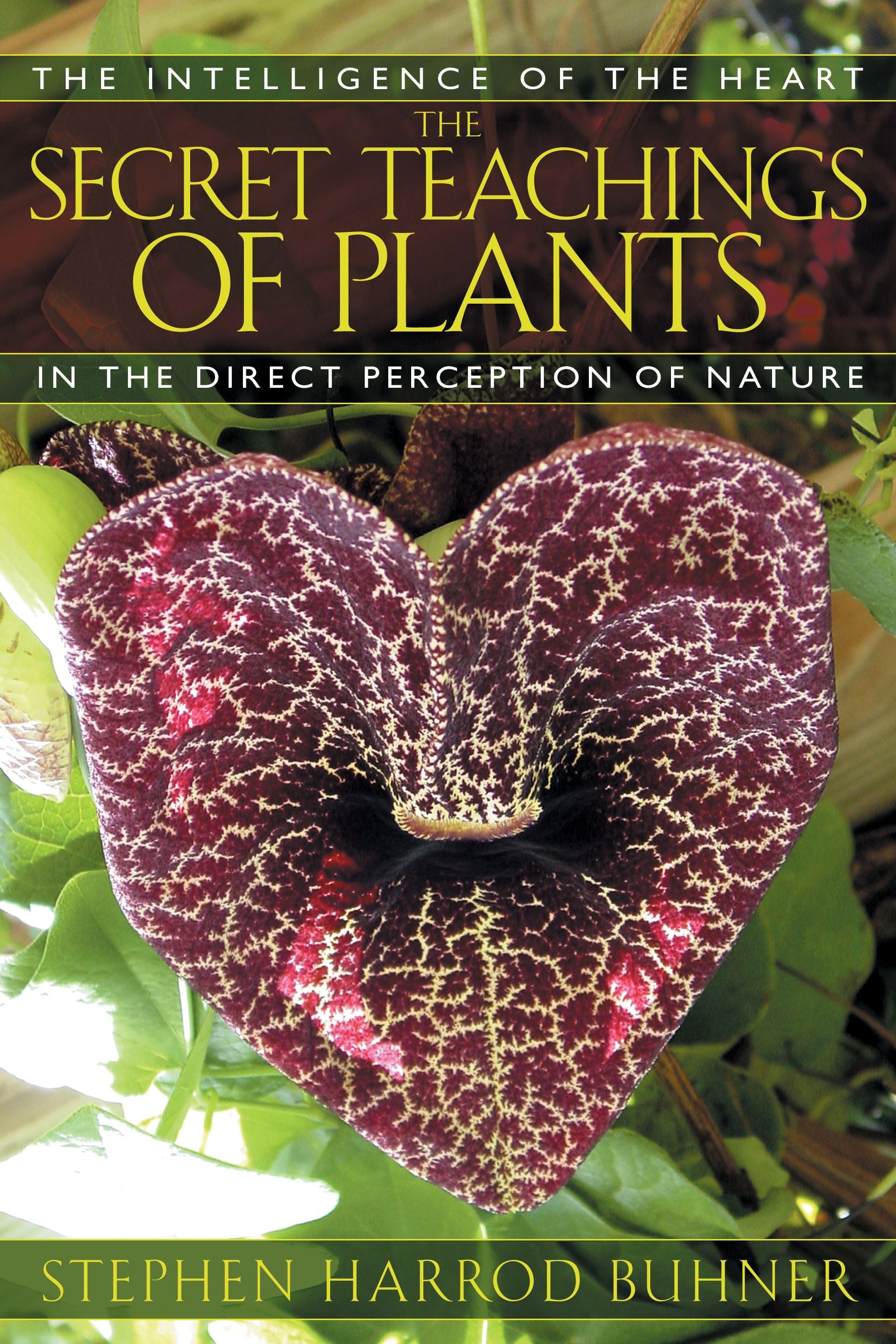 ITthe-secret-teachings-of-plantsBK.jpg