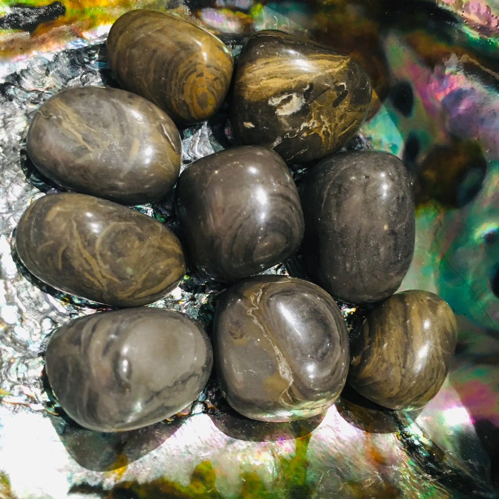 JasperCamoflauge1.jpg