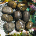 JasperCamoflauge1.jpg