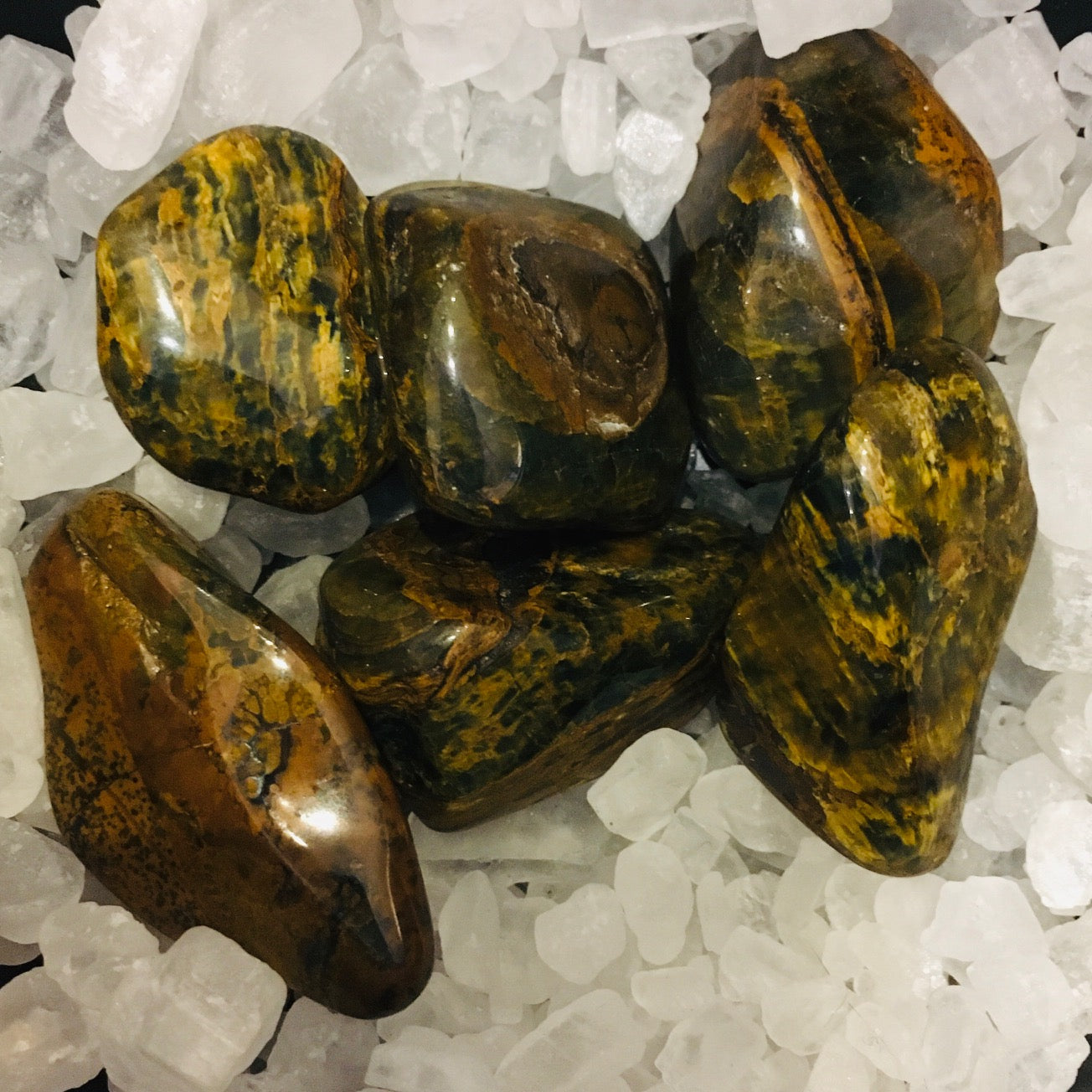 JasperLionSkin1.jpg_product