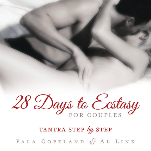 LL28DaystoEcstasyBK.jpg