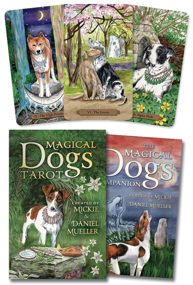 LLMagicalDogsTarotBox.jpg
