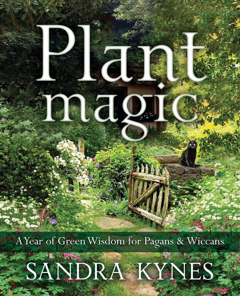 LLPlantMagicBK.jpg