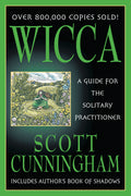 LLWIccaAGuidefortheSolitaryPractionerBK.jpg