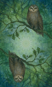 LLForestofEnchantmentTarot1TR.jpg_product