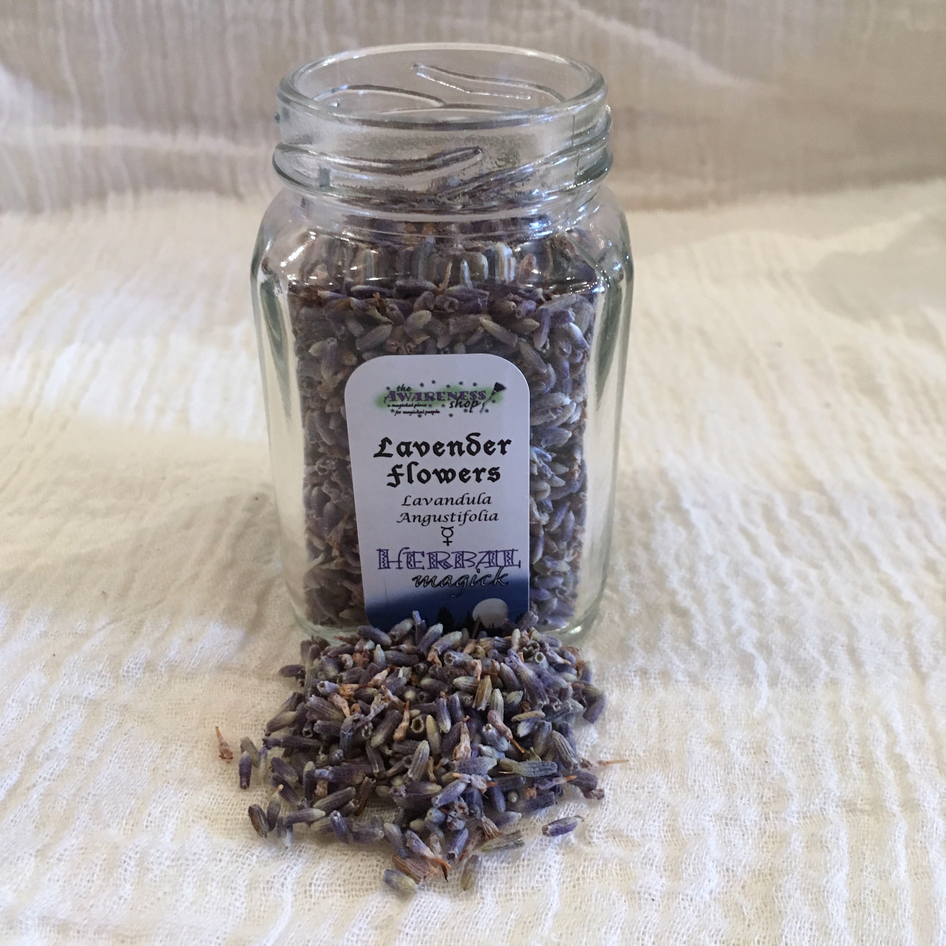 Lavender Flowers.jpg