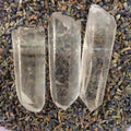 Lemurian Seed.jpg