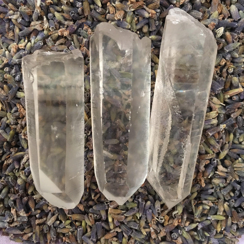 Lemurian Seed.jpg