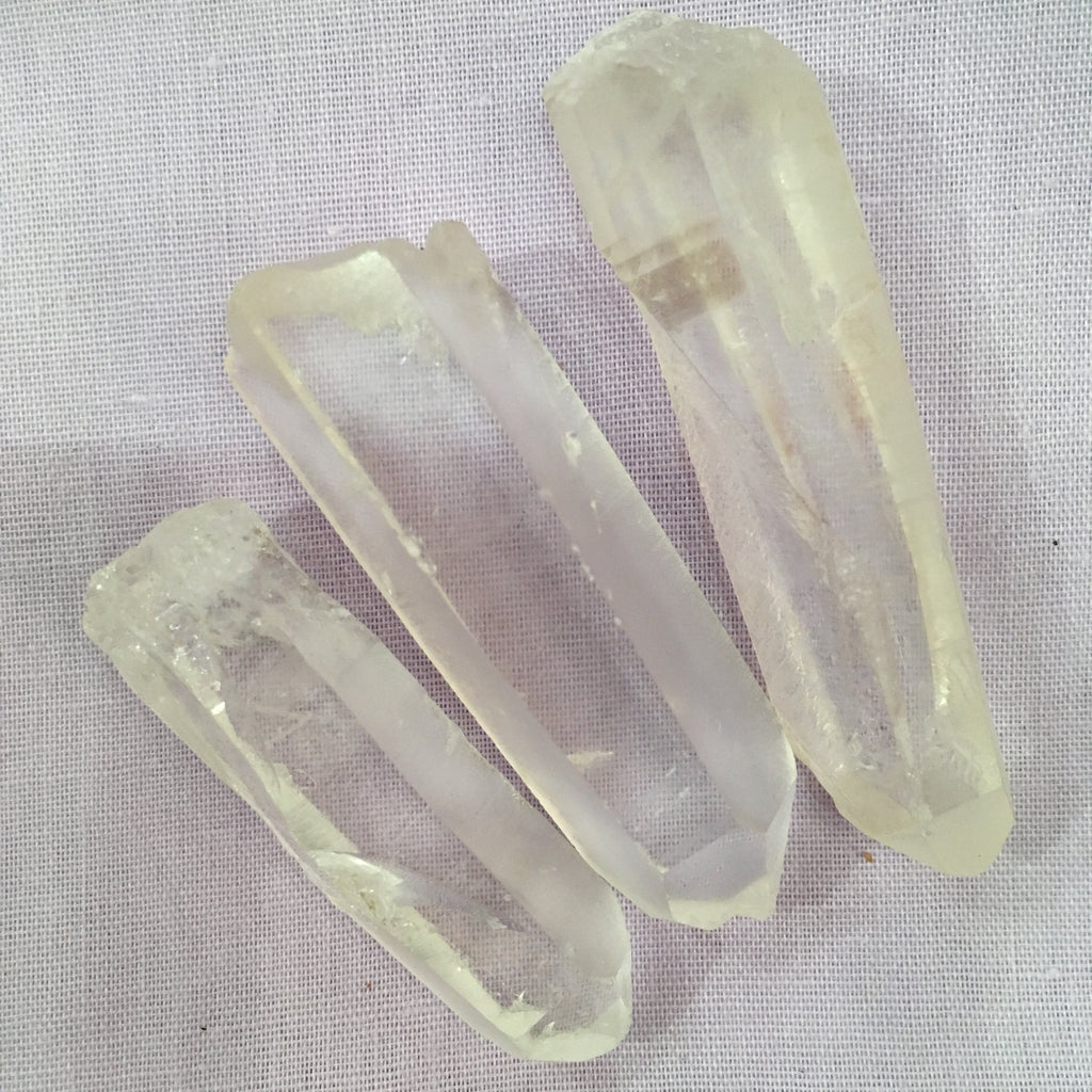 Lemurian Seed.jpg_product