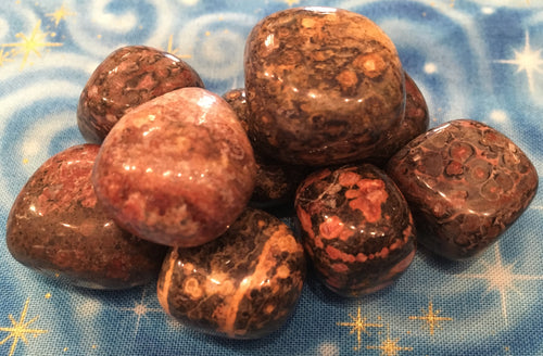 Agate__Leopard_S_4e249b4e85805.jpg
