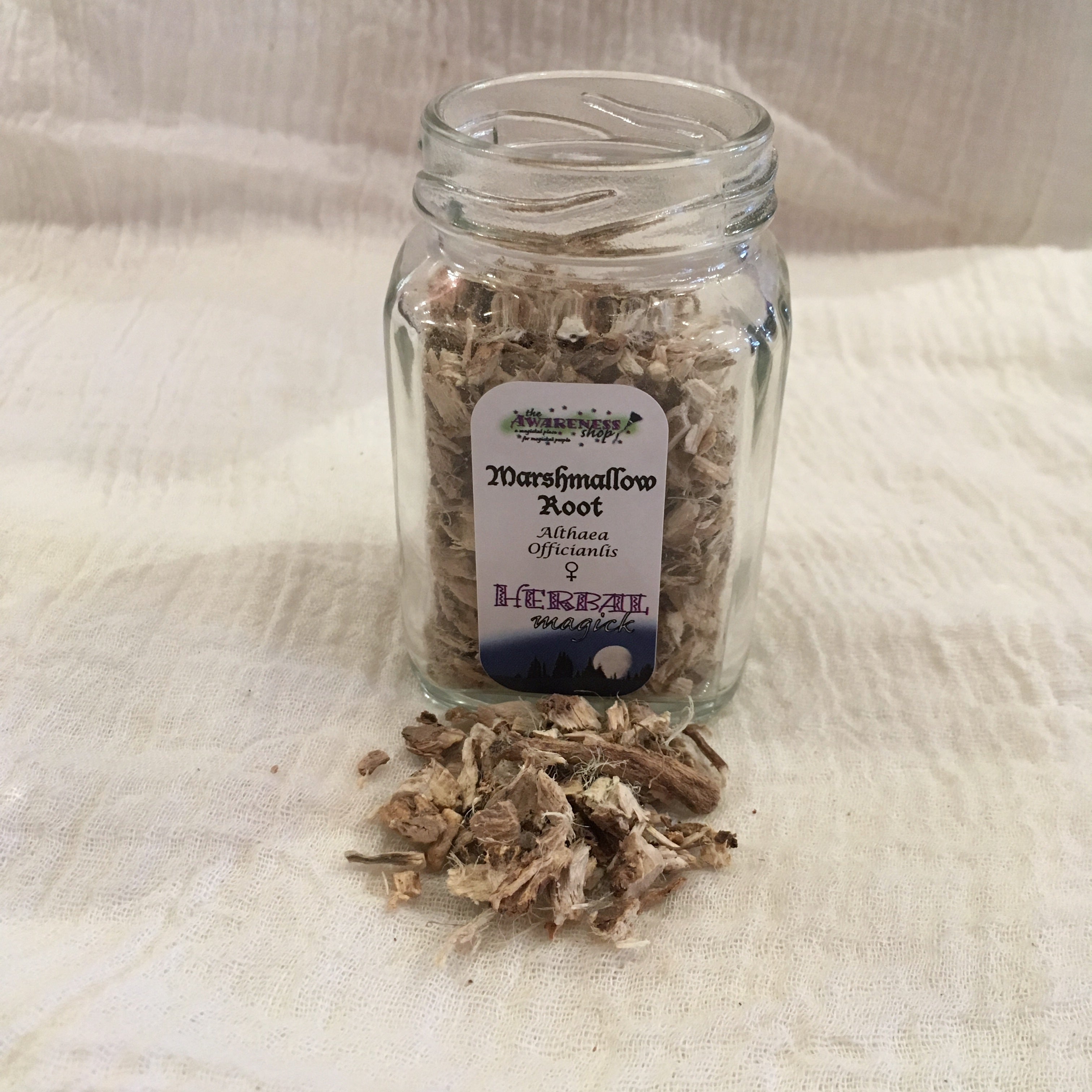 Marshmallow Root.jpg