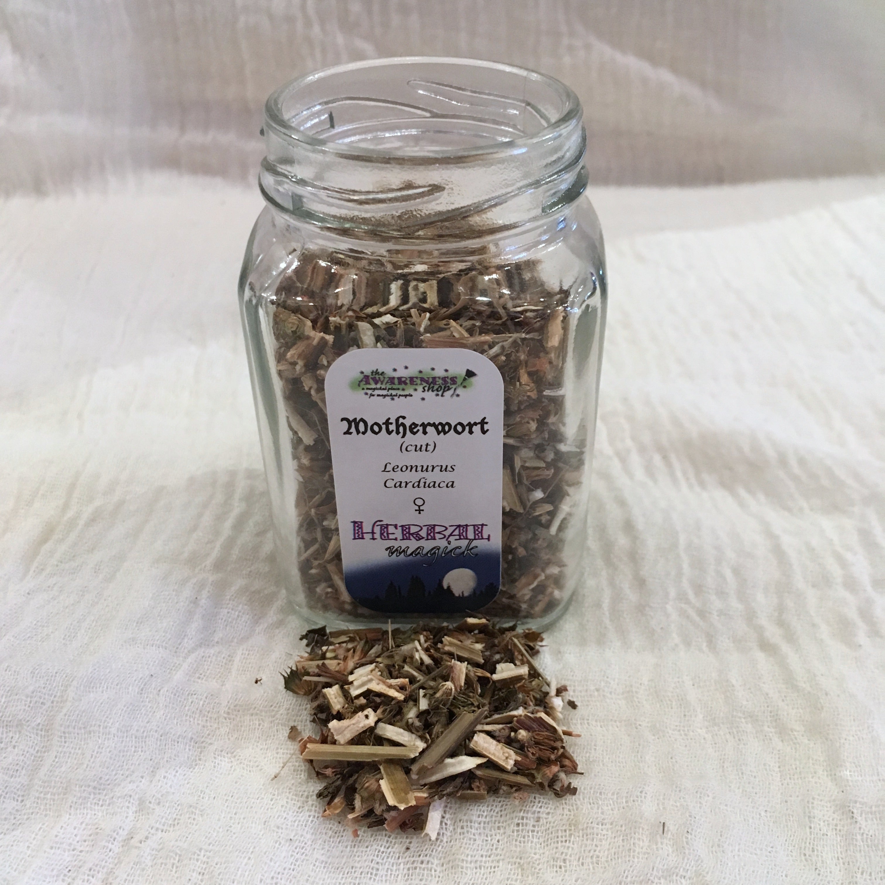 Motherwort.jpg