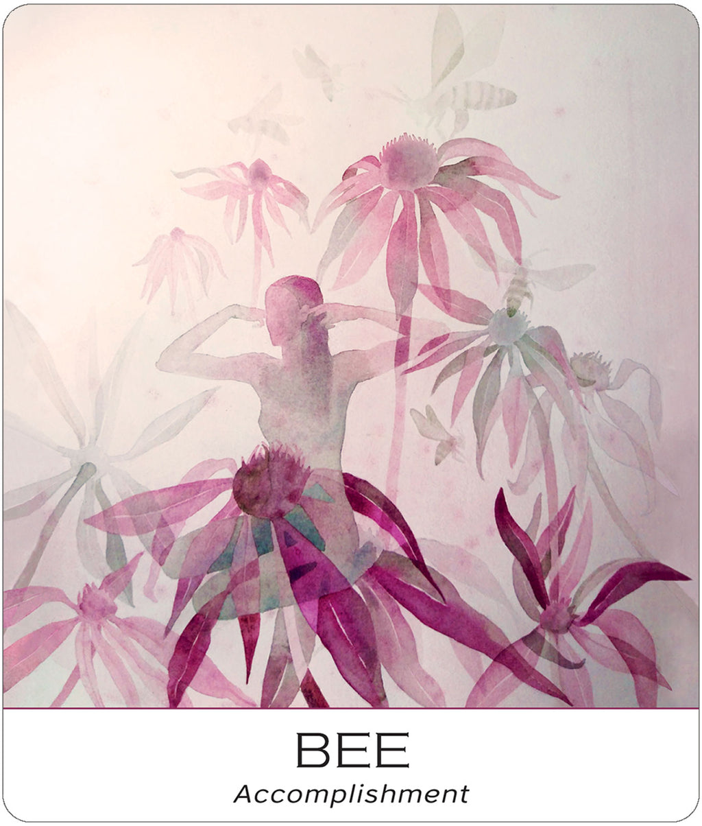 No image set 