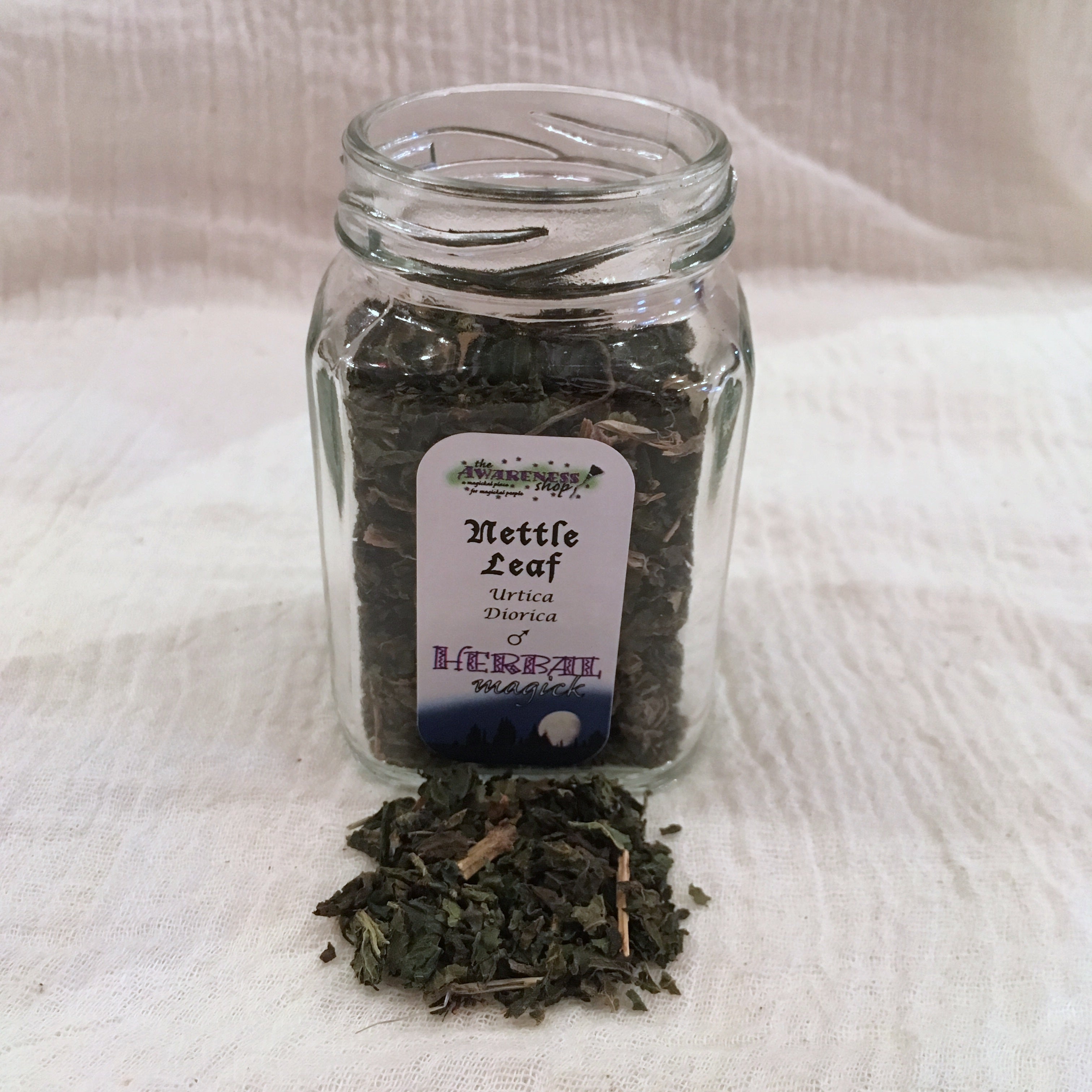 Nettle Leaf.jpg