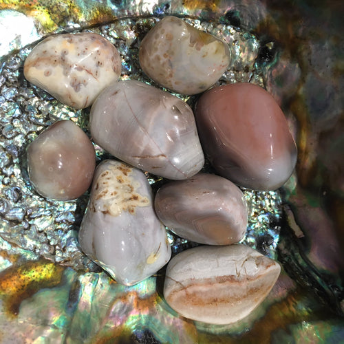 Agate__Pink_Bots_4e249f6bd3b0a.jpg